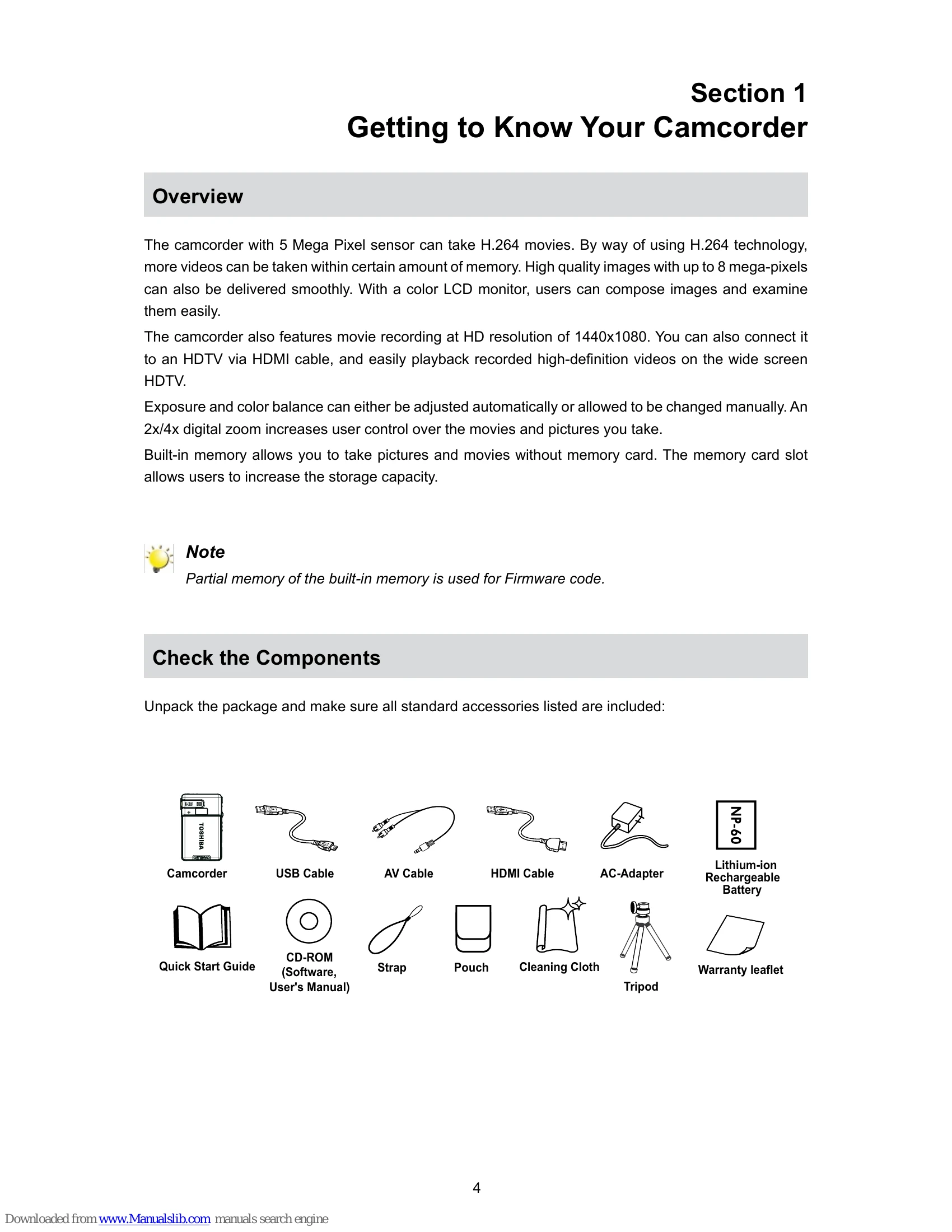 Manual for CAMILEO S10