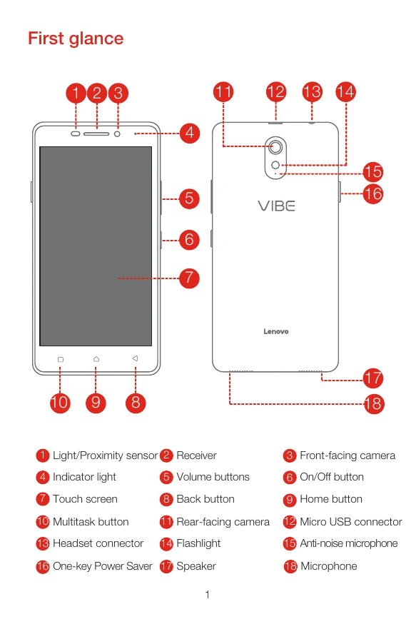 Manual for VIBE P1m