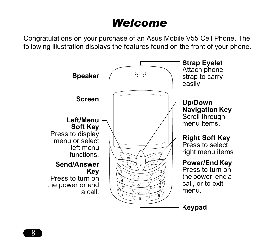 Manual for V55 Cell Phone